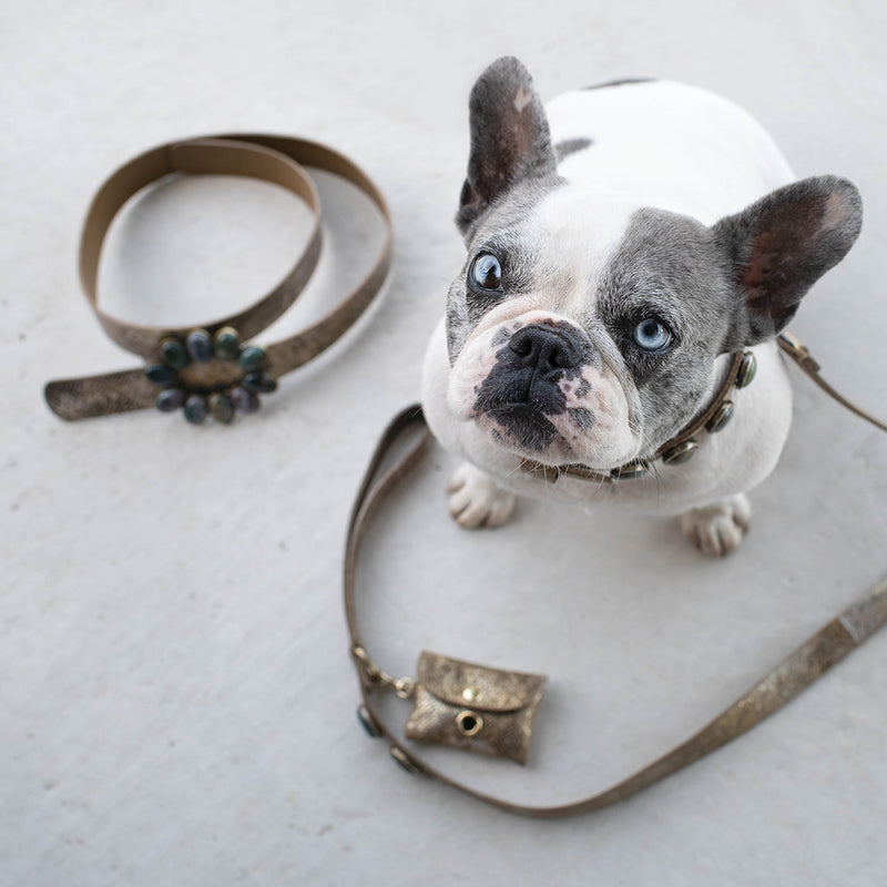 Un bouledogue français fier de porter des accessoires haut de gamme en cuir et pierres naturelles regarde l'objectif