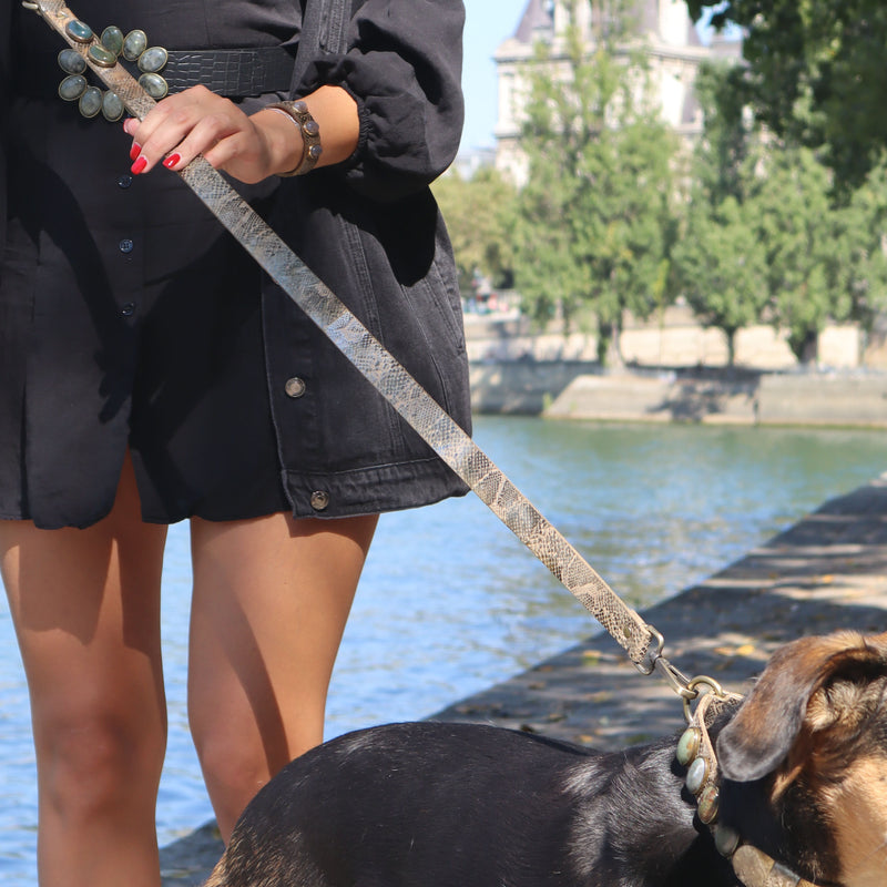 Femme moderne promène son chien avec une laisse en cuir doré et pierres naturelles au bord de la Seine